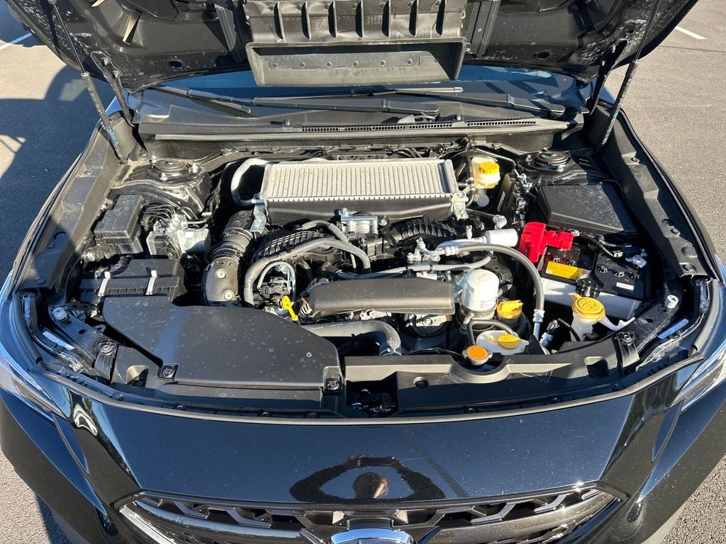 2025 Subaru WRX Limited